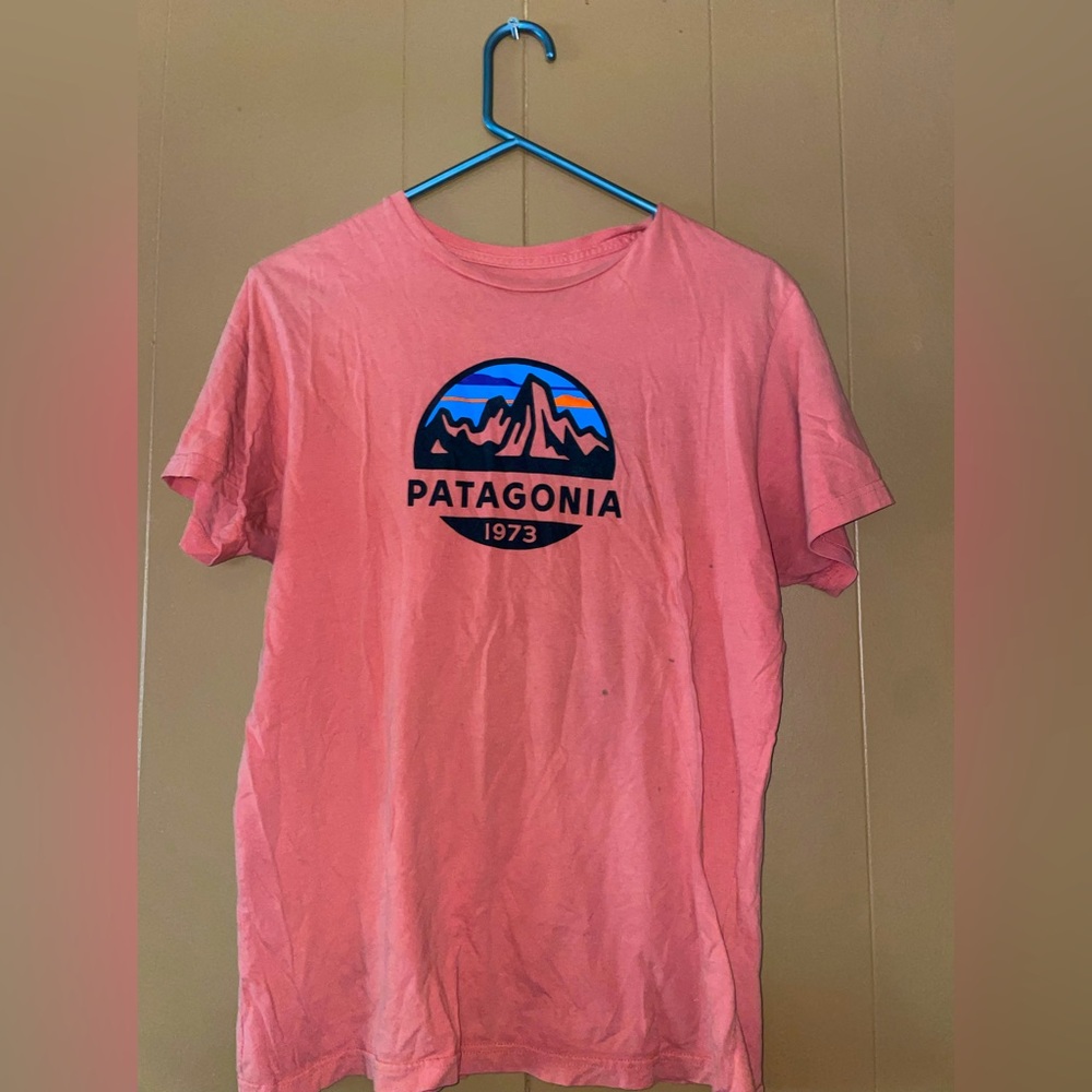 Patagonia tee